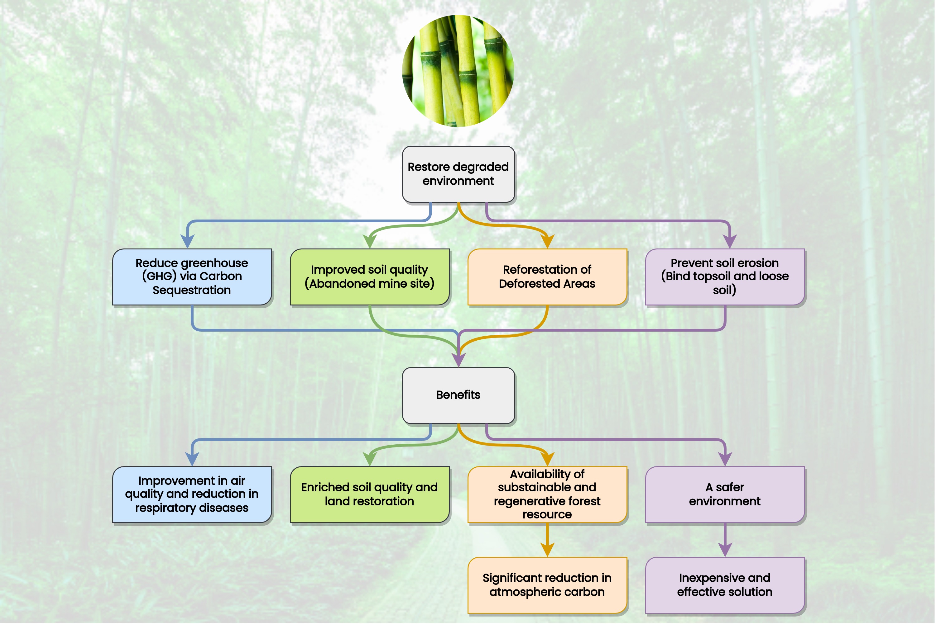 diagram (1)